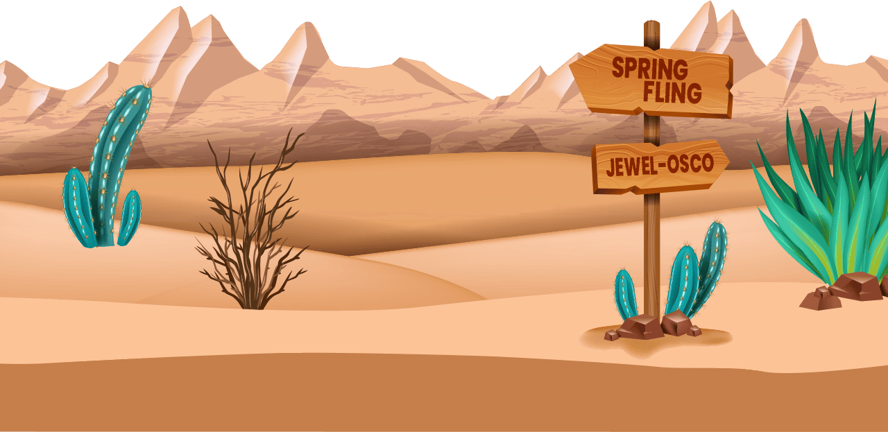 Woman in white shirt using laptop at desk